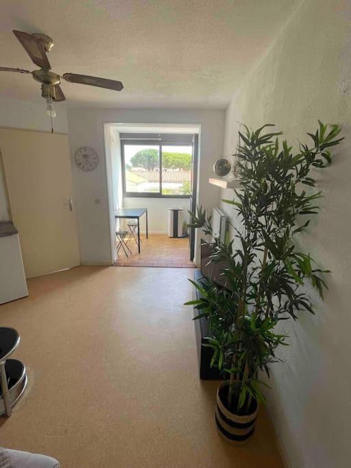Appartement Port 勒卡特 外观 照片